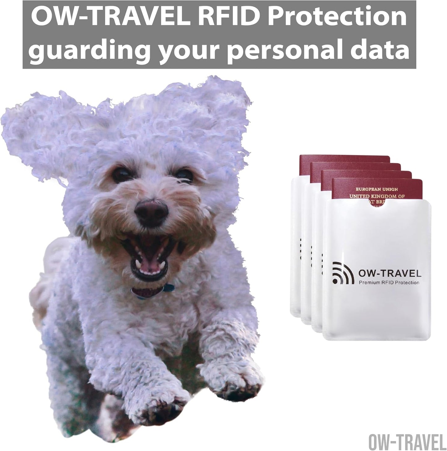RFID blocking passport protector sleeves. Contactless fraud protection