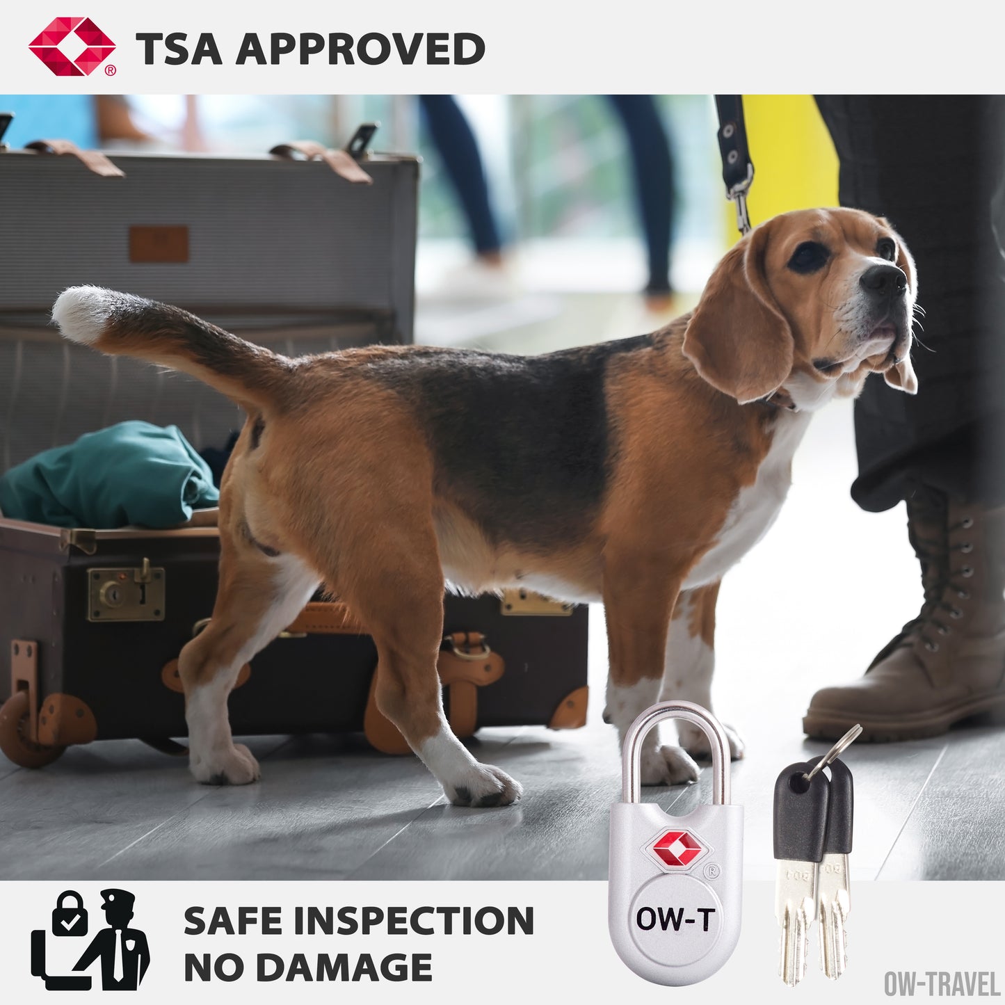 TSA luggage locks. Small silver key travel padlocks for suitcases bags lockers