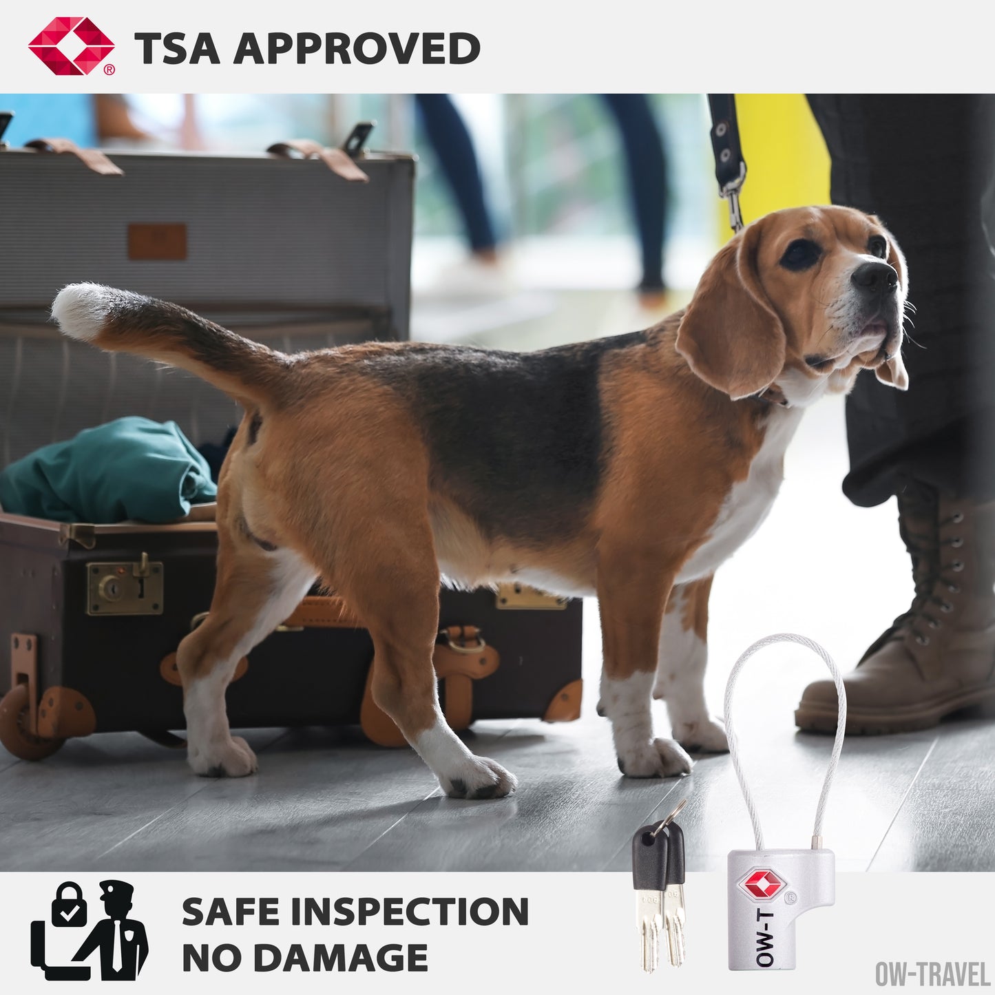 TSA luggage locks. Small silver key cable padlocks for suitcases