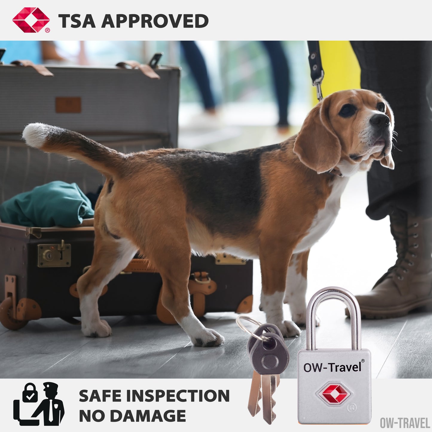 TSA luggage locks. Mini silver key travel padlocks for suitcases bags